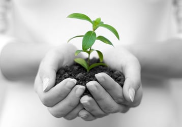 Începerea unui blog: Sfaturi pentru o bază solidă [Video]