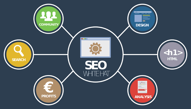 SEO Optimization